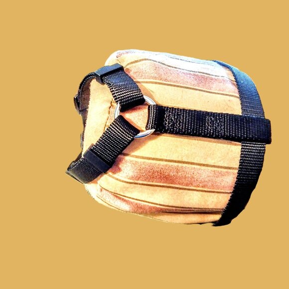 Small DOG Harness ~ No-Pull, H-Type, 5/8" Nylon Web-Strap ~ Adjustable 14"- 20" - Picture 3 of 11